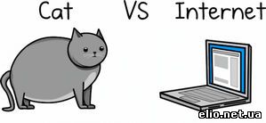 Кот против Интернета